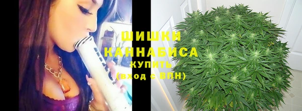 экстази Няндома